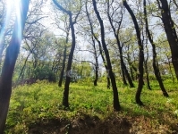 Érd Telek