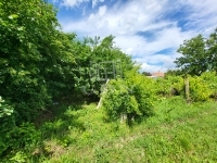Tanakajd Telek