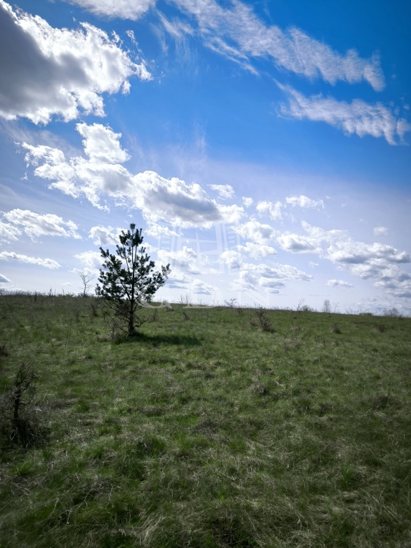 Verkauf Csomád Landwirtschaftliche Flächen