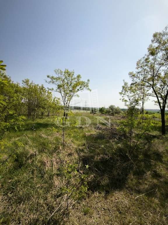 Verkauf Dunakeszi Landwirtschaftliche Flächen